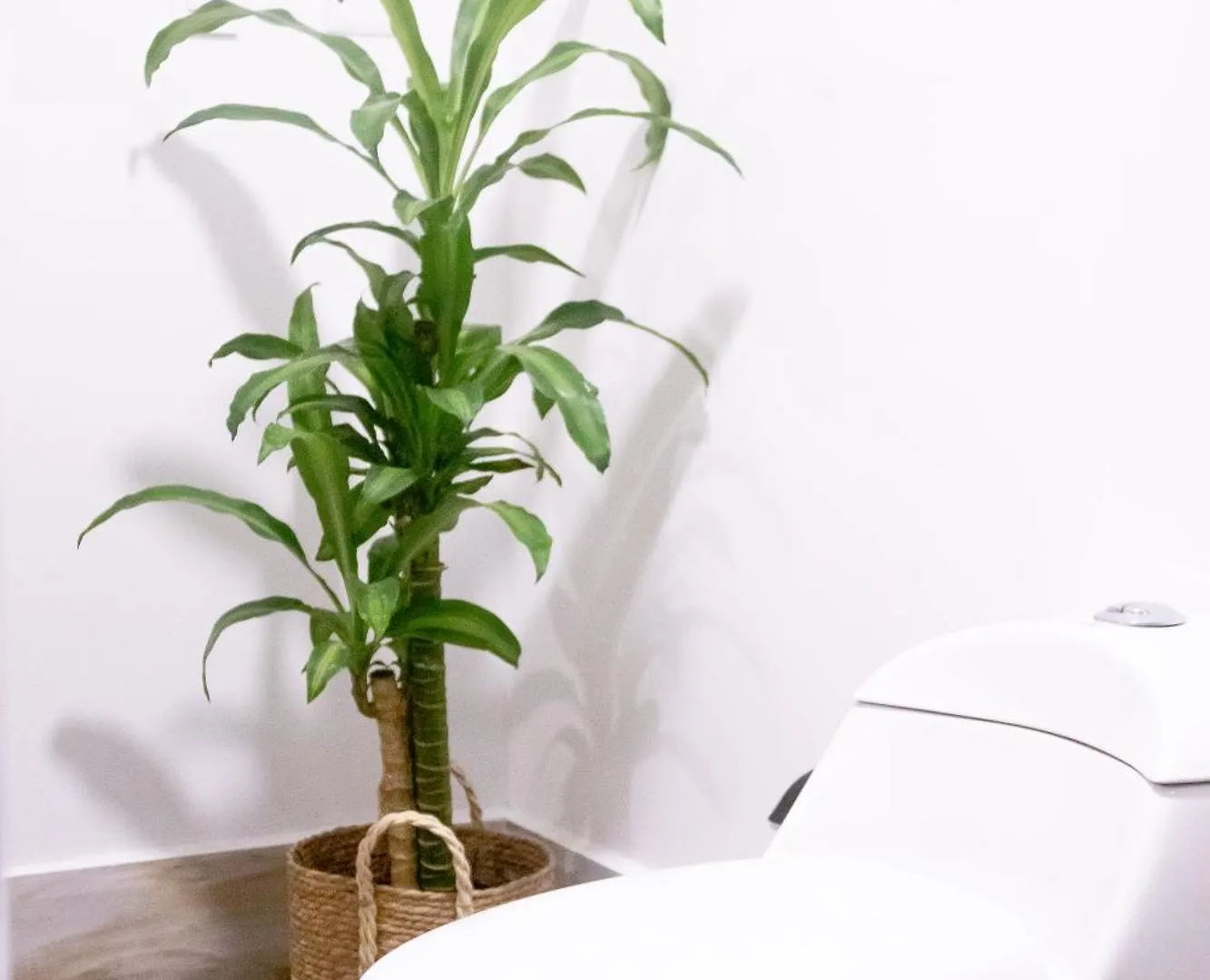 Gardin Home Hotel Boutique Кали